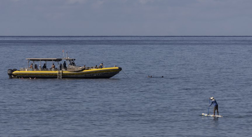 Близо 70 страни подписаха договор за защита на откритото море