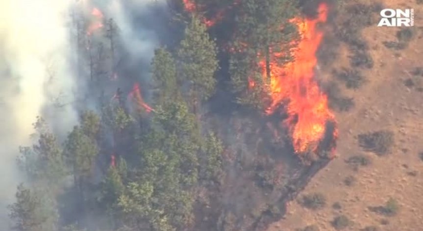 Огромен горски пожар в щата Орегон наложи евакуацията на стотици