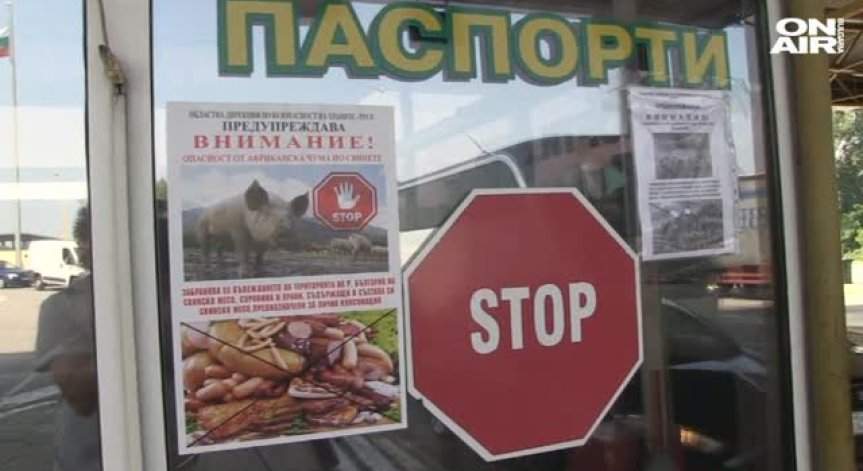 Строг контрол в районите с африканска чума по свинете