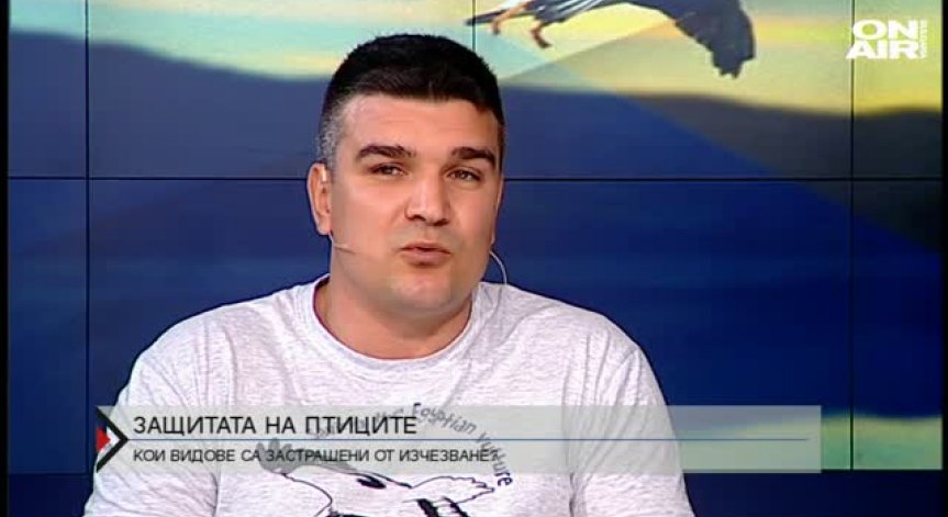 Прибирането на птици понякога крие рискове