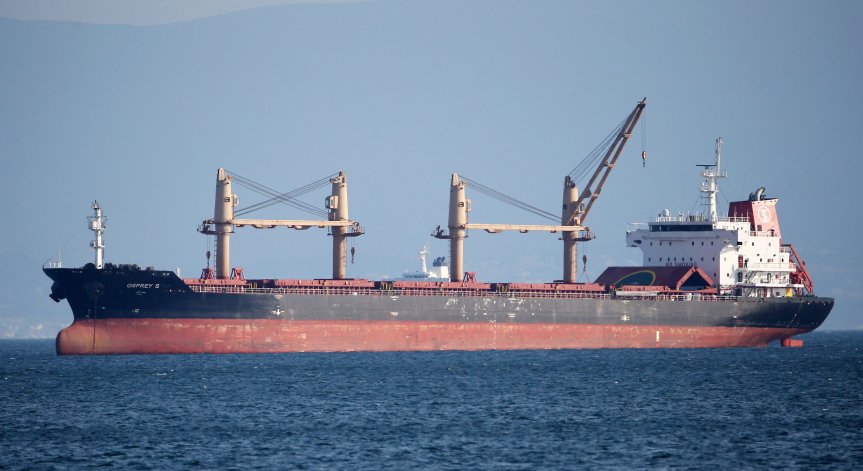 Украйна под напрежение заради зърното - опашка от товарни кораби в Черно море