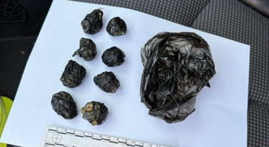 Разкрити са и няколко наркооранжерии от закрит тип на територията на София, Варна и Бургас.