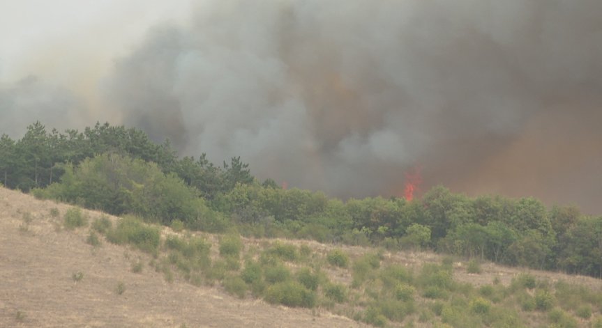 Потушиха горския пожар край село Бабек, разрасна се друг