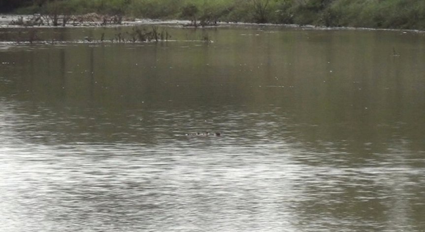 Жълт код за обилни валежи е обявен в 6 области у нас