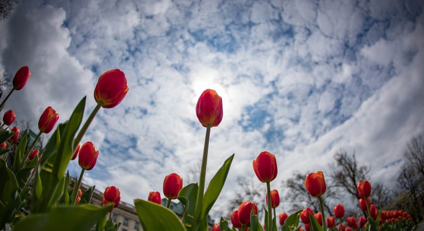 Времето днес: Облачно с максимални температури до 20°