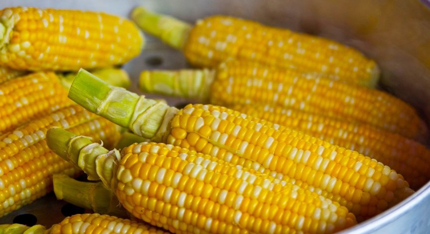 Летни суперхрани за силна имунна система