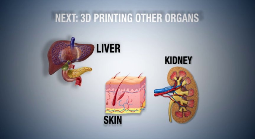 3D печат на човешка кожа - от козметика до трансплантация на органи