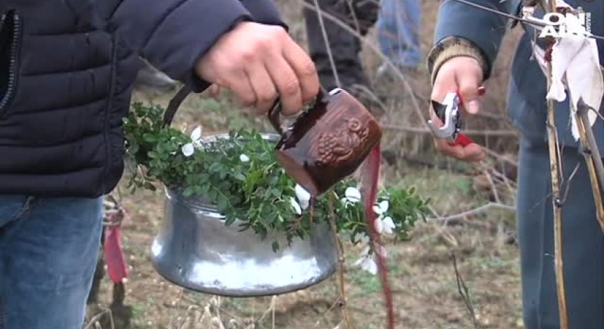 Трифон Зарезан в Пороминово е празник само за мъжете