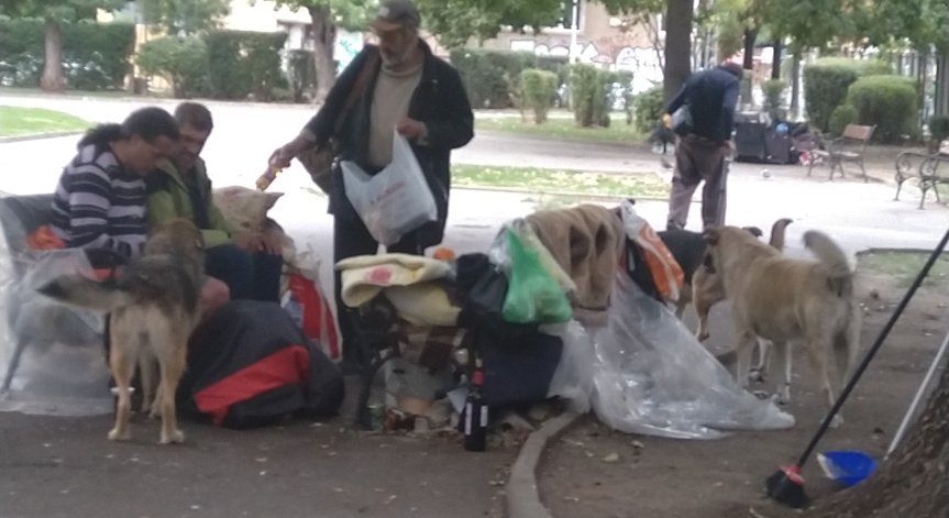 Катун в столична градинка - спи се, пие се, подмиват се пред погледа на деца