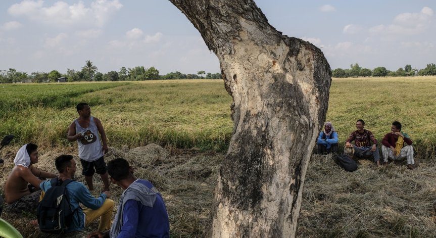 Мечтата се превръща в кошмар: Да те експлоатират за 10 евро на ден в Португалия