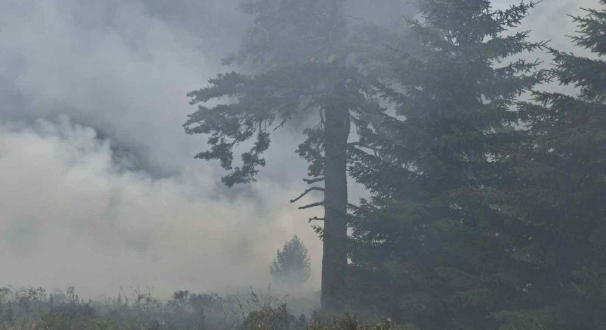 Пожарът избухна вчера следобед.