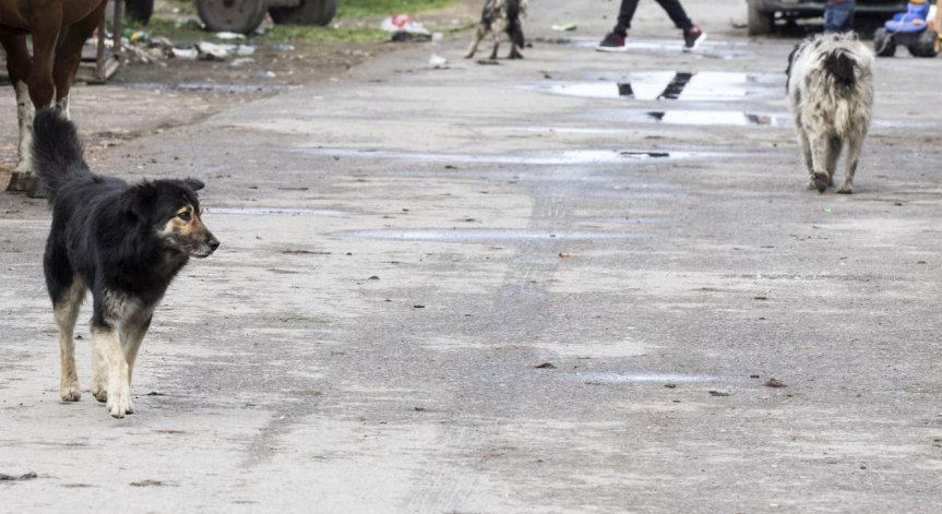 HelpBook сигнали от 