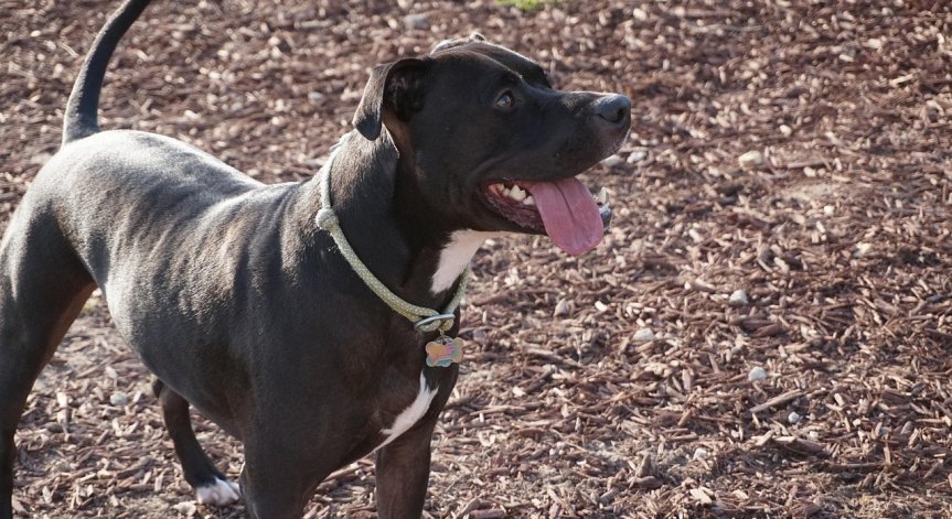 По случая е образувано досъдебно производство.