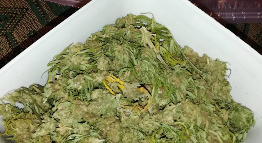 Откриха незаконно оръжие и наркотици в дома на 33-годишен в Пазарджик