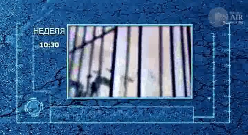 Неделното издание на „Темида“ е посветено на пробацията