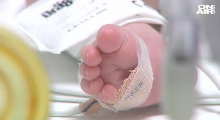 Жестокост в 