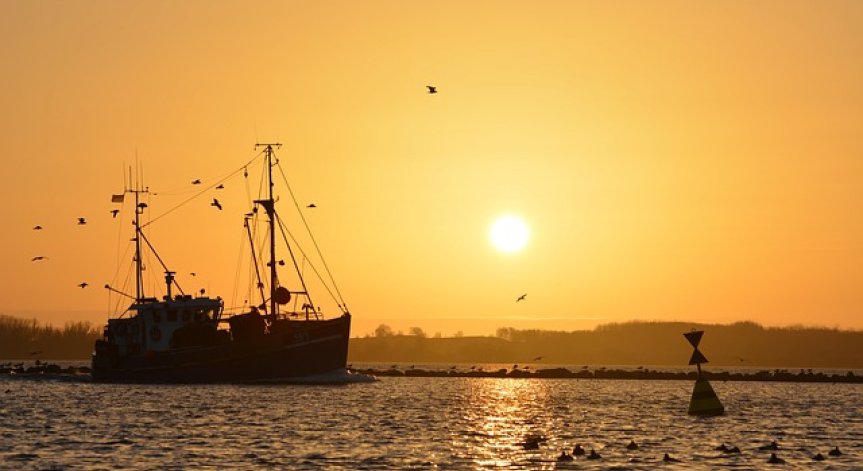 Китайски кораби търгували петрол със Северна Корея 