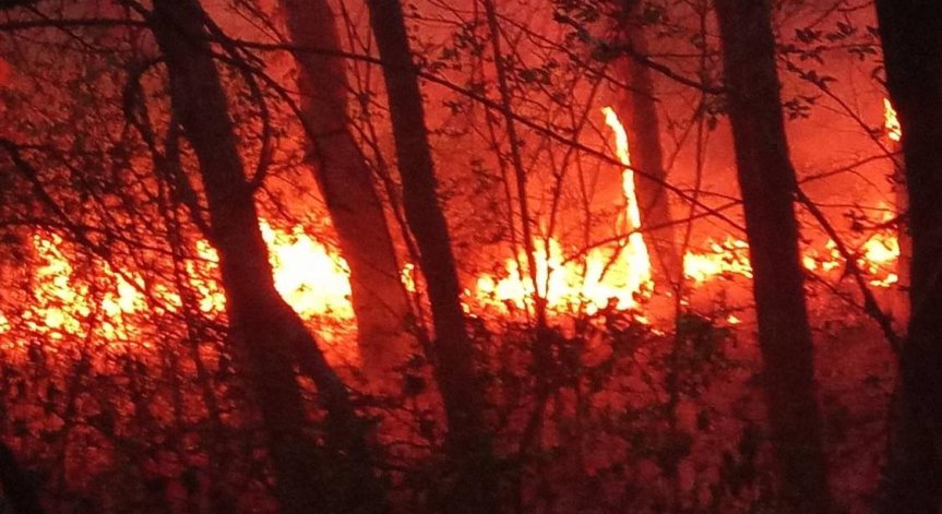 Овладяха пожара над село Илинденци