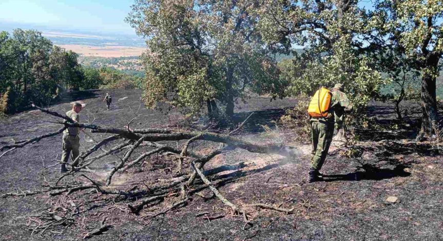 Военнослужещи се борят с огнената стихия у нас по въздух и земя