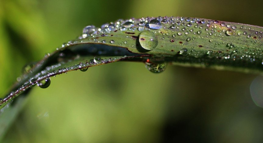 На места вятърът ще се усилва.