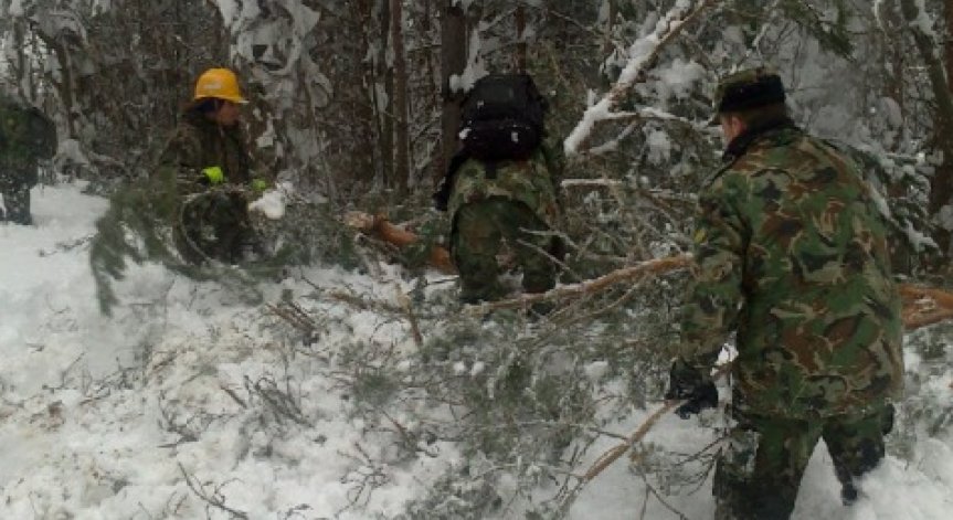 493 селища продължават да са без електричество