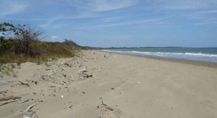 56 са неохраняемите плажове в област Бургас за сезон 2015