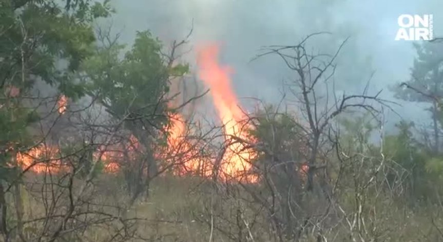 Отмениха частичното  бедствено положение заради пожара в Пъстрово