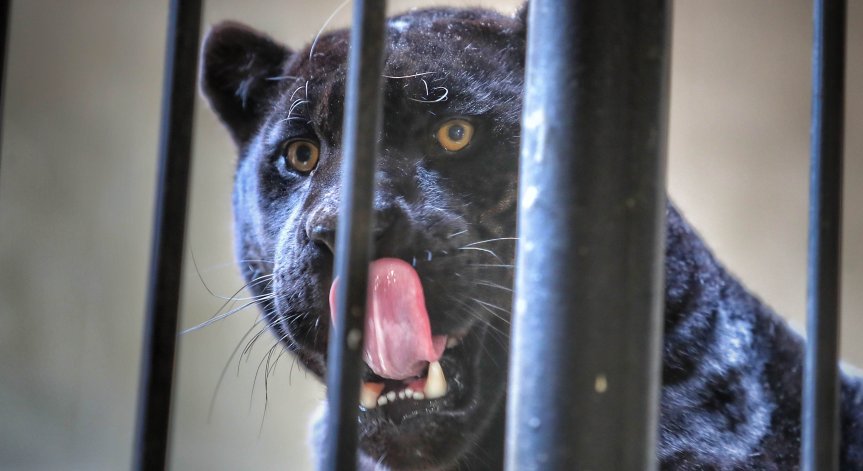 С промяната се въвежда още едно подобрение.