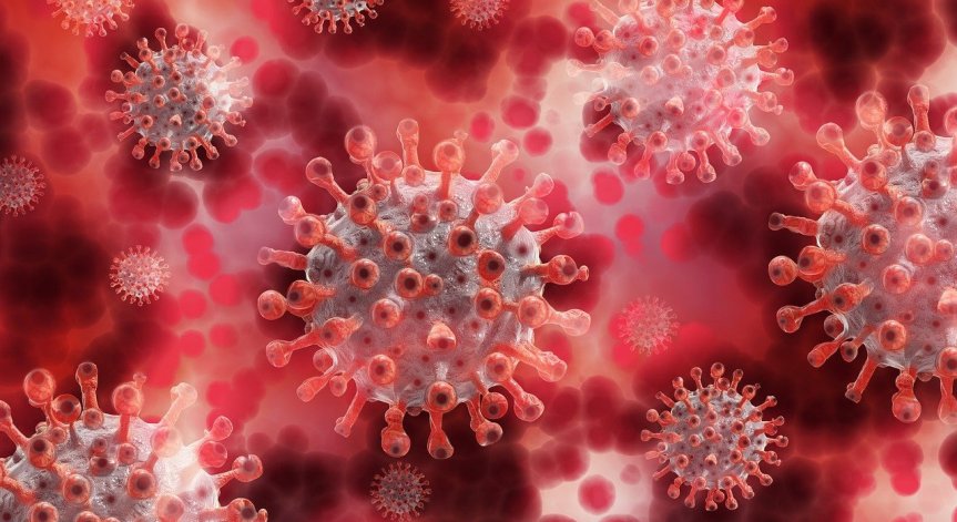 Ковид-19 за денонощието: 12 нови случаи, без постъпили в болница (ОБНОВЕНА)