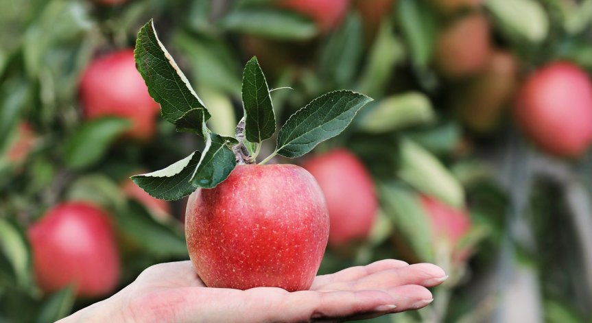 Плодове и зеленчуци за красива и сияйна кожа