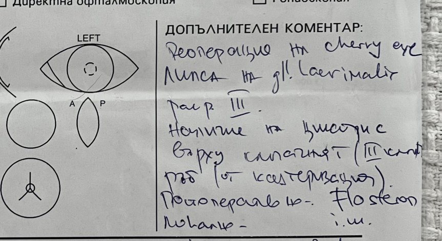 Перипетиите на едно куче: Немарлива операция, фалшива епикриза, обезобразено око