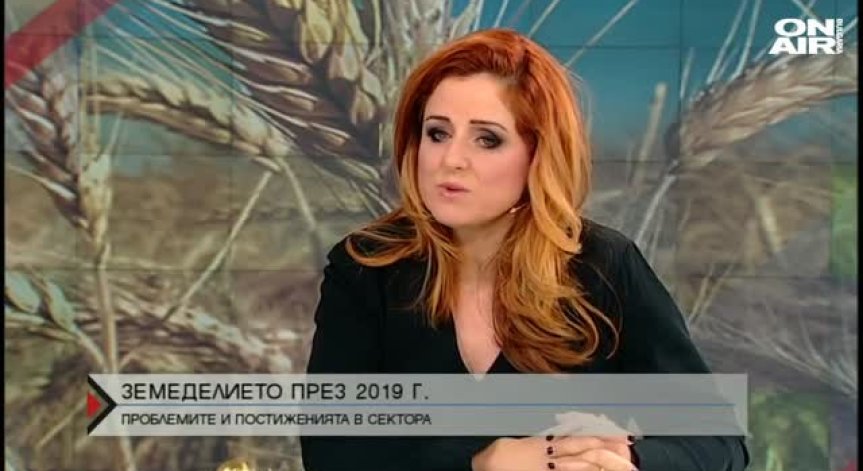 Чумата по свинете - бичът на отрасъла през годината