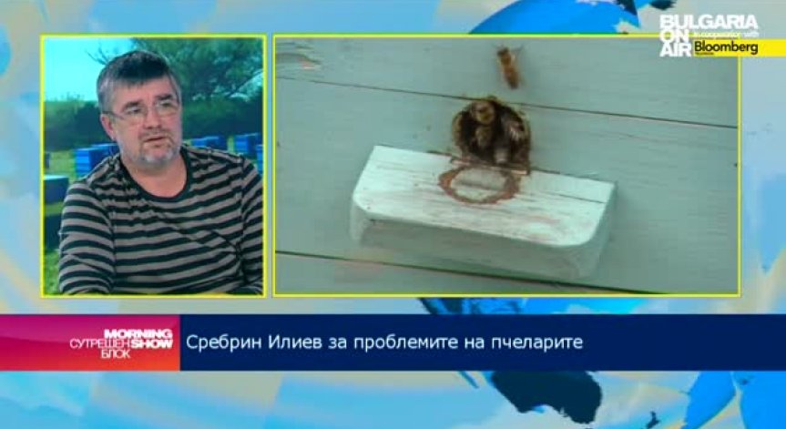 Сребрин Илиев: Неправилно стратегическо планиране е сред ключовите причини за намаляването на пчелите у нас