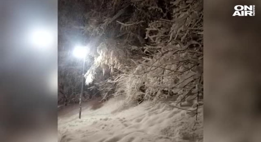 Силен сняг ограничи движението през прохода 