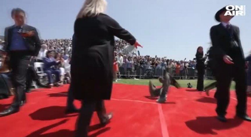 Пеликани предизвикаха хаос по време на официална церемония в Малибу
