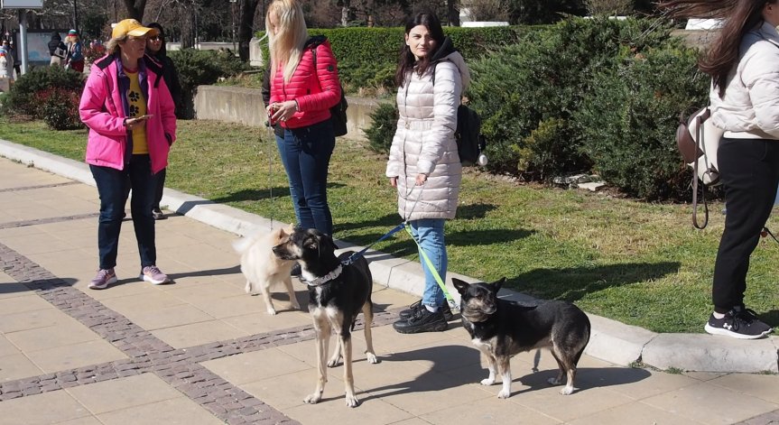 Утре протест ще има и в София.