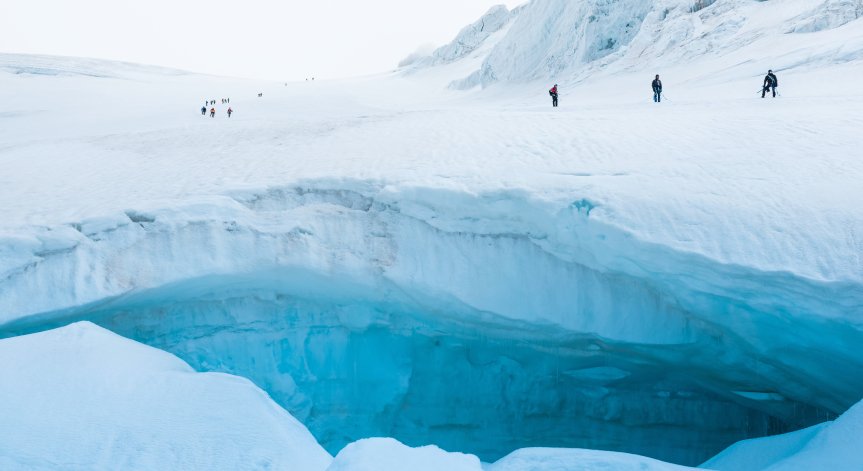 Снимка: freepik