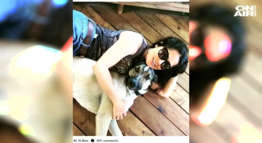 И Салма Хайек с домашен любимец от България