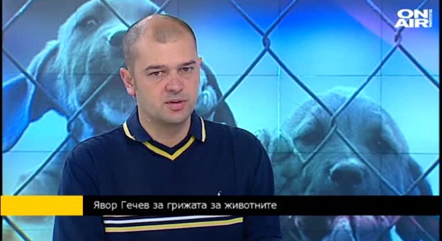 Добре ли живеят животните в зоопарка?