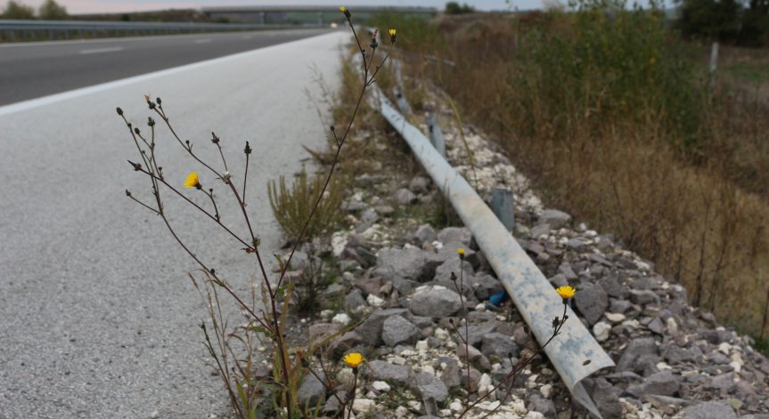 Започват спешни проверки за безопасността на пътищата в страната, докладват на ВАП