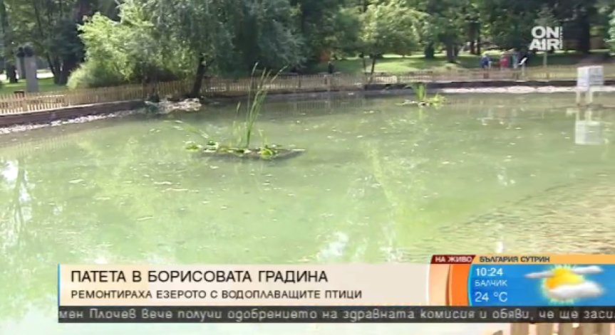 Столичани ще се радват отново на Езерото с водоплаващите птици