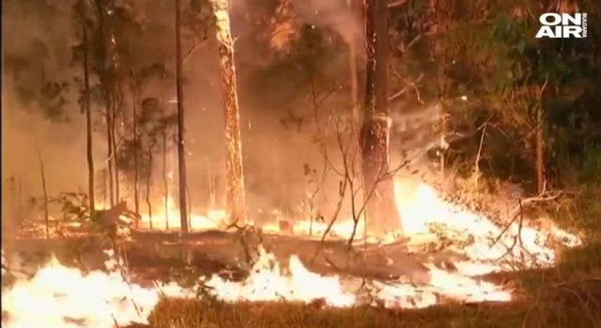 Австралия безсилна срещу огнения ад! Пожарите са извън контрол