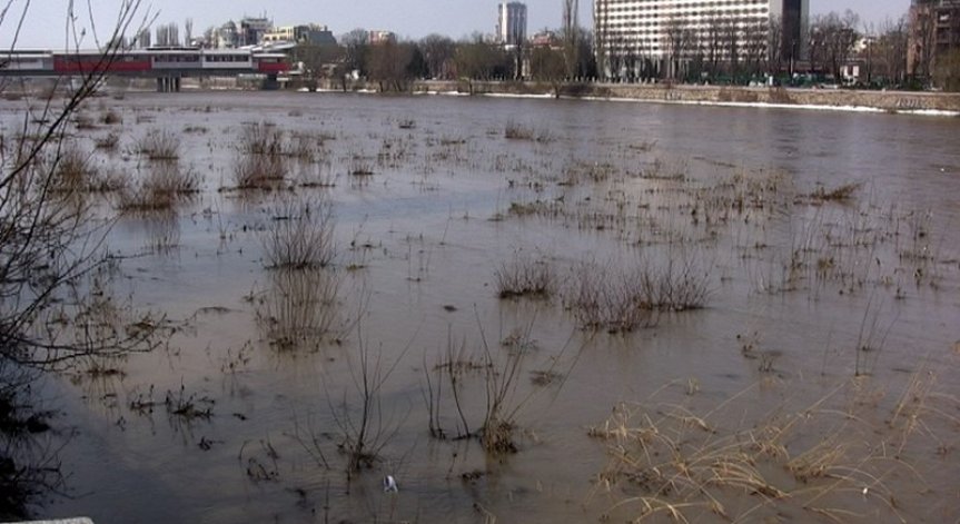 Голямо количество мъртва риба откриха в река Марица