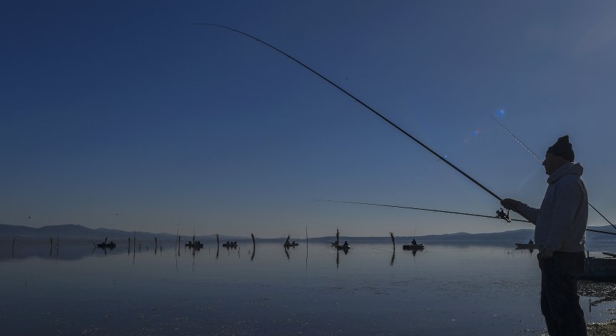 Влиза в сила забраната за риболов в страната