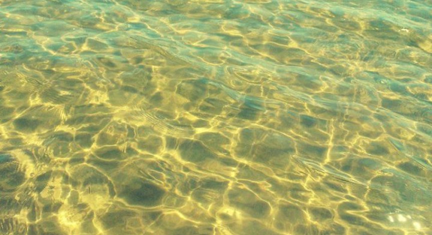 Удавена жена открита в Черноморец