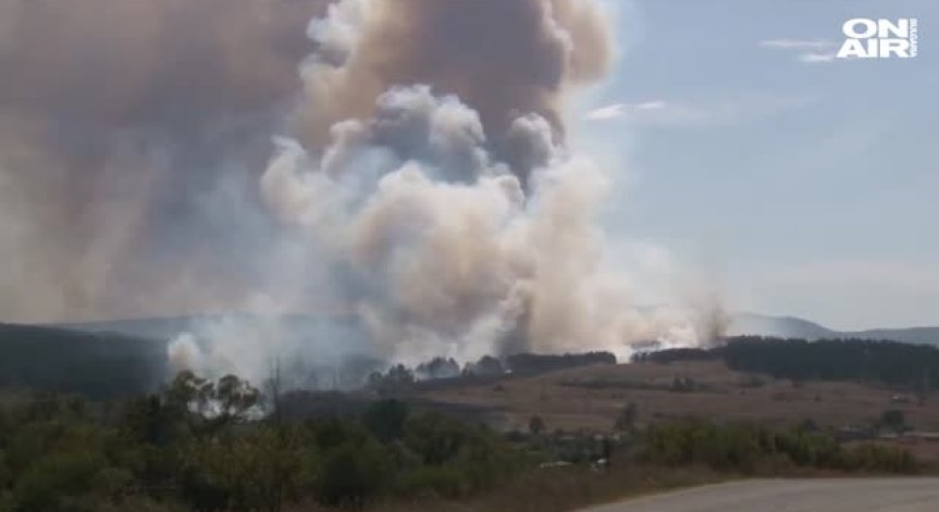 Борова гора се подпали край село Горно Чековище