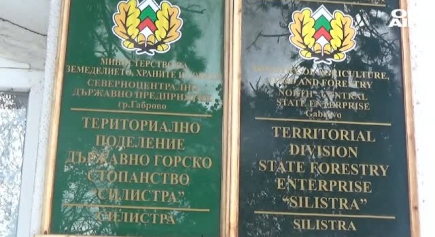 Хванаха с подкупи служител на НАП и шефа на Горското в Силистра