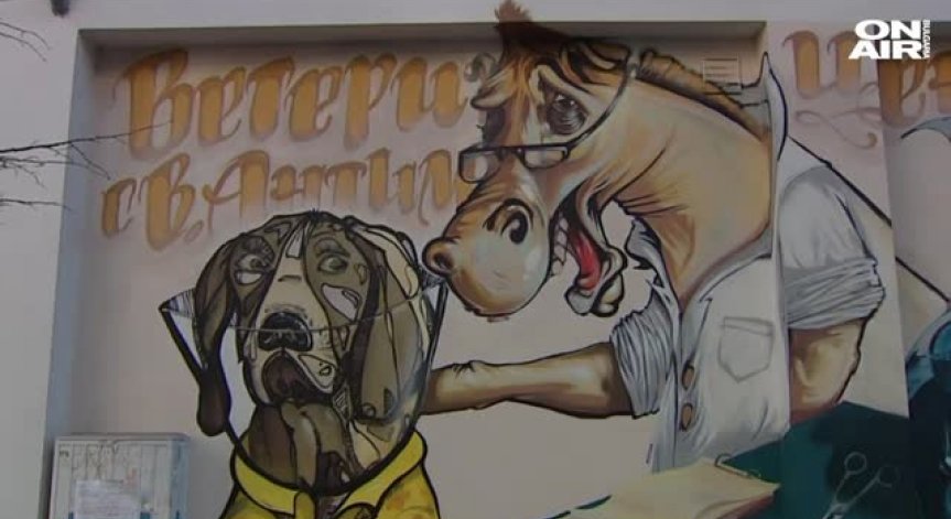 Вместо в приют: Много кучета намират грижа при хората