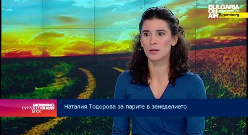 Наталия Тодорова: Всяко забавяне на прибиране на пшеницата влошава качеството й