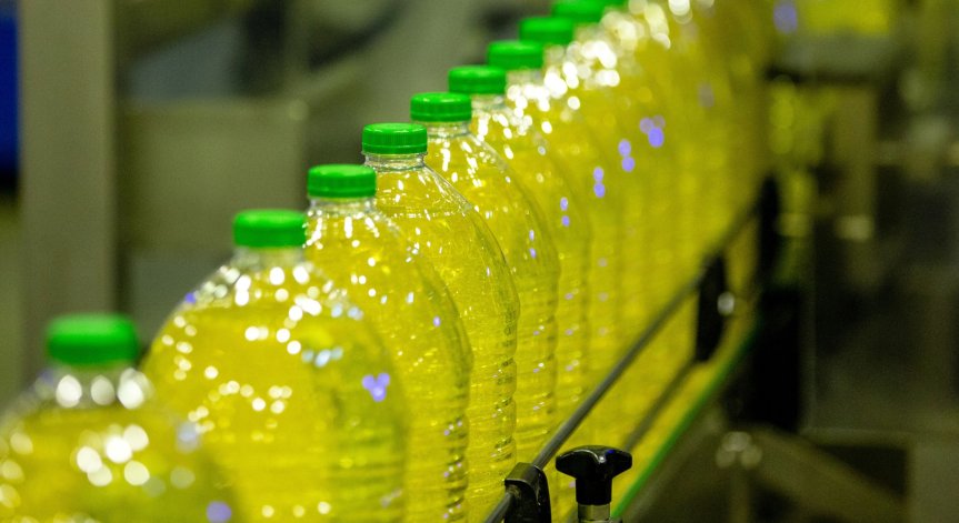Преработвателите на слънчоглед пред фалит, цените след реколта 2023 остават неясни